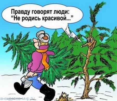 смешной анекдот про елку