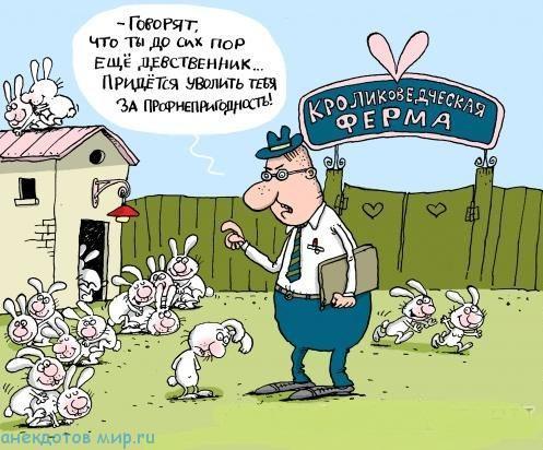 карикатура прикол