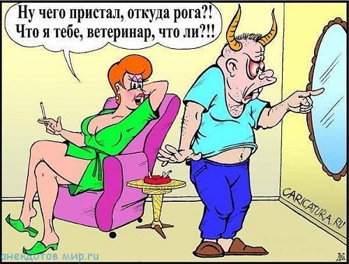 карикатура про жену