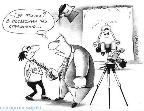 карикатура про фотографии