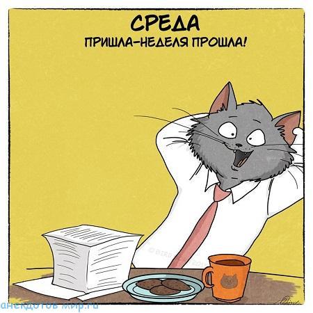 среда