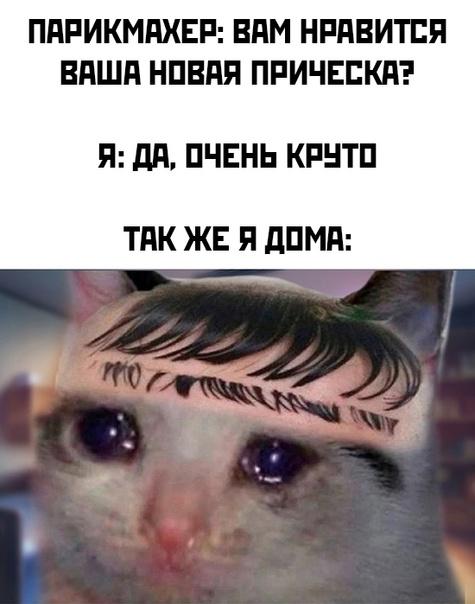 Хорошие мемы для пятницы