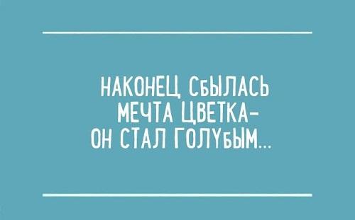 Подробнее о статье Прикольные отрывки из школьных сочинений