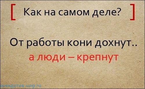 Подробнее о статье Пословицы и поговорки с продолжением