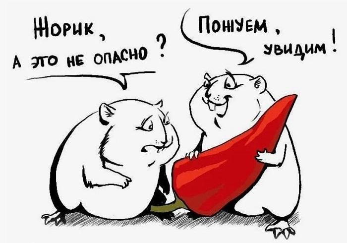 Карикатуры с юмором