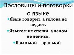 Подробнее о статье Смешные пословицы и поговорки про язык