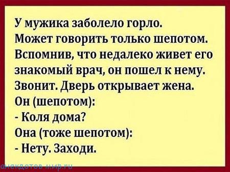 Подробнее о статье Свежие шутки и анекдоты 26 сентября 2017 года