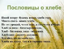 Подробнее о статье Русские пословицы и поговорки о хлебе