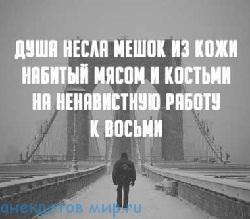 Подробнее о статье Интересные статусы в стихах