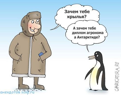 Подробнее о статье Анекдоты про крылья