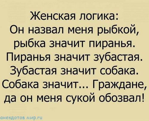 Подробнее о статье Свежие веселые рассказы