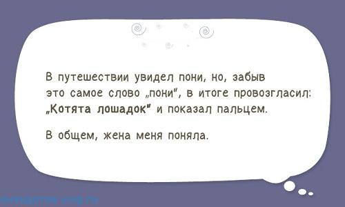 Подробнее о статье Самые смешные рассказы из жизни