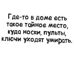 Подробнее о статье Прикольные шуточные фразы