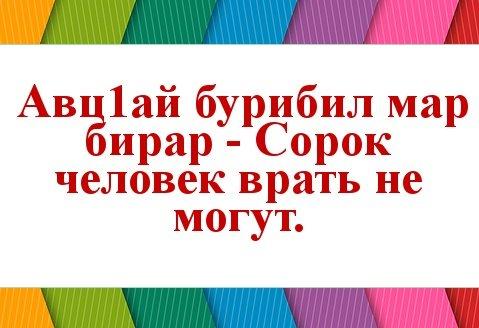 Подробнее о статье Даргинские пословицы и поговорки