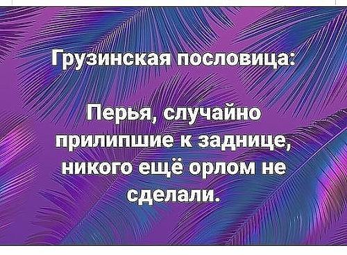 Подробнее о статье Грузинские пословицы и поговорки