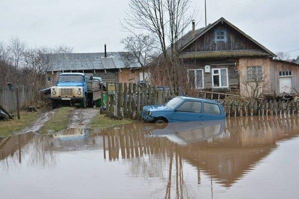 веселая жизнь на селе