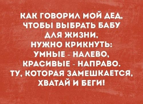 Подробнее о статье Шутки читать бесплатно