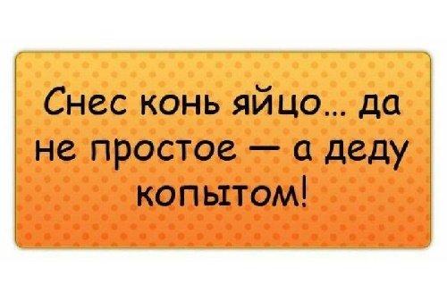 Подробнее о статье Клёвые цитаты и афоризмы