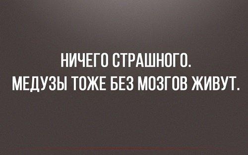 Подробнее о статье Остроумные цитаты про жизнь