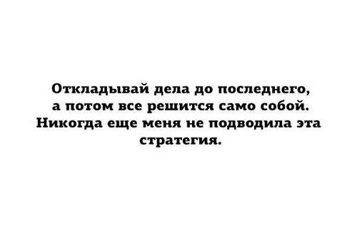 Подробнее о статье Прикольные цитаты о жизни с юмором