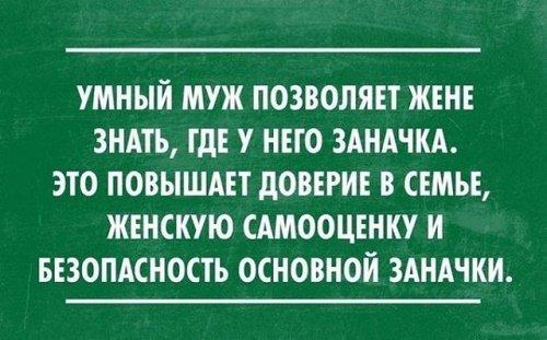 Подробнее о статье Прикольные до слез фразы