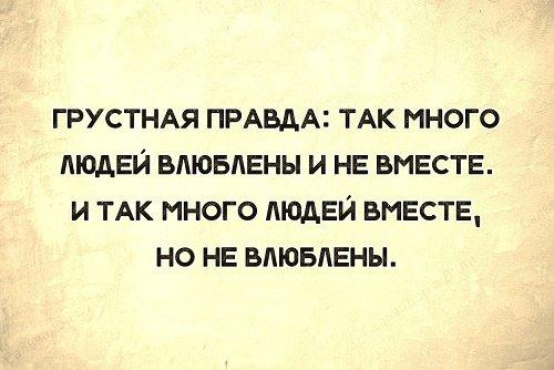 Подробнее о статье Прикольные фразы для поднятия настроения