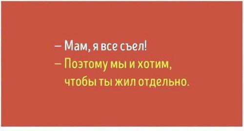 Подробнее о статье Прикольные и смешные фразы