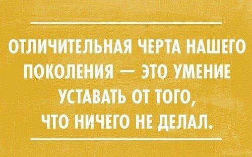 Подробнее о статье Прикольные короткие высказывания