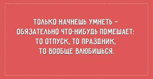 Подробнее о статье Прикольные смешные выражения