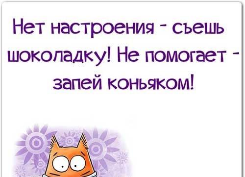 Подробнее о статье Прикольные выражения про жизнь