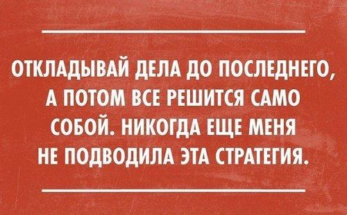 Подробнее о статье Прикольные высказывания и короткие шутки