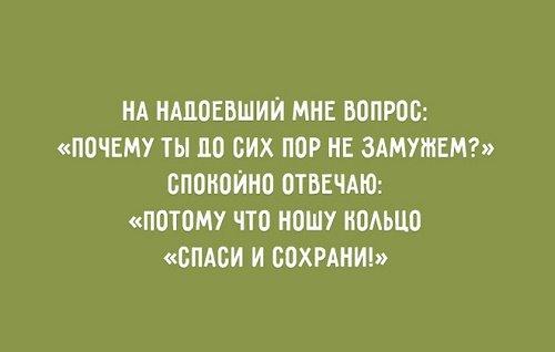 Подробнее о статье Прикольные жизненные цитаты