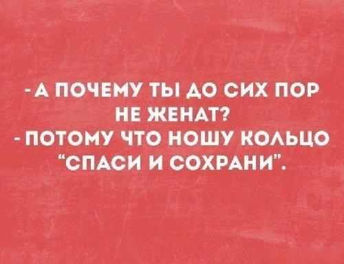 Подробнее о статье Смешные афоризмы