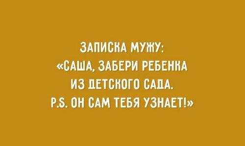 Подробнее о статье Смешные фразы и афоризмы