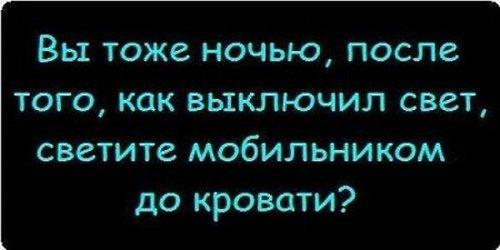 Подробнее о статье Смешные фразы и изречения