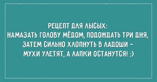 Подробнее о статье Смешные фразы про жизнь