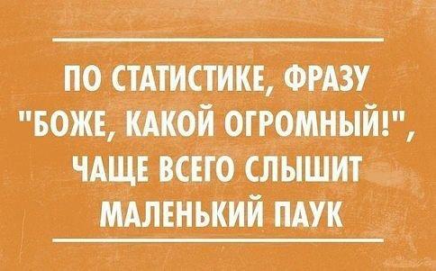 Подробнее о статье Смешные высказывания и афоризмы