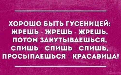 Подробнее о статье Веселые цитаты и афоризмы