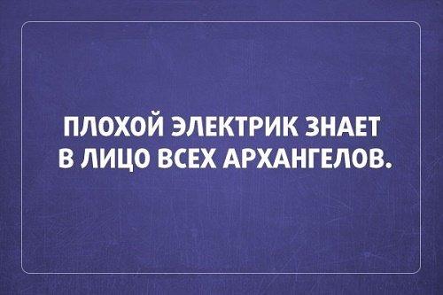 Подробнее о статье Веселые фразы о жизни