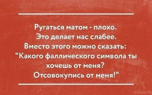 Подробнее о статье Веселые короткие цитаты