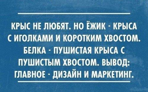 Подробнее о статье Забавные цитаты про жизнь