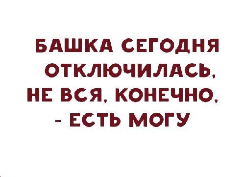 Подробнее о статье Ироничные одностишья