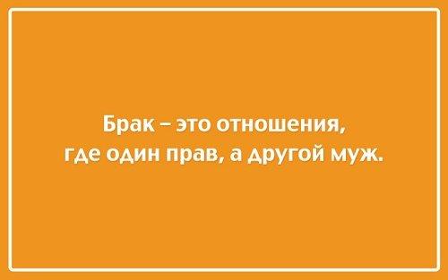 Подробнее о статье Классные прикольные цитаты