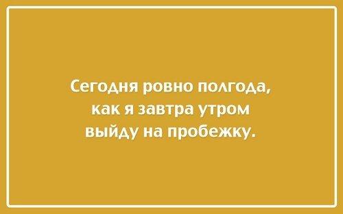 Подробнее о статье Смешные изречения и фразы