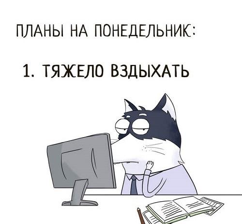 Подробнее о статье Анекдоты понедельника 11 ноября 2019 года