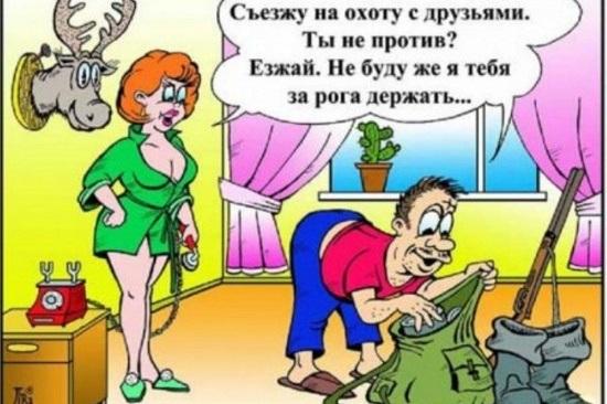 карикатура про лену