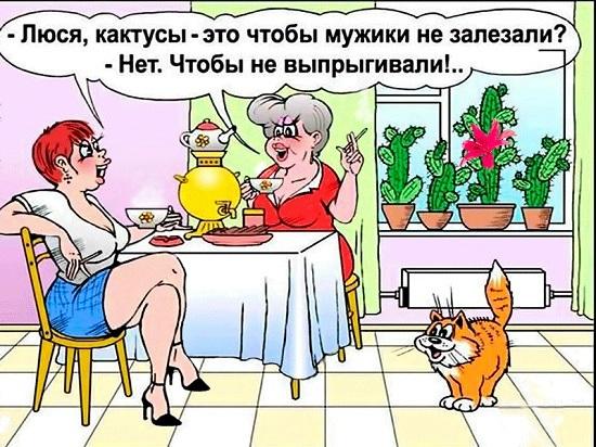 карикатура про люсю