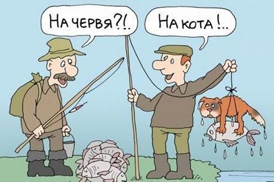 карикатура про охоту и рыбалку 