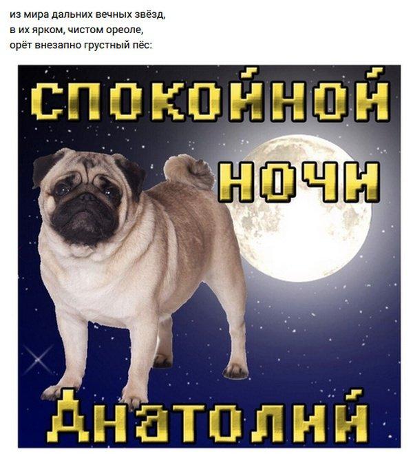 окончание стишка на фото