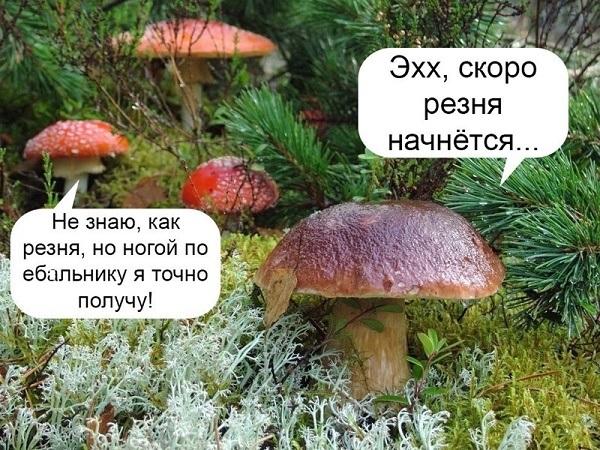 ржачная картинка с надписью